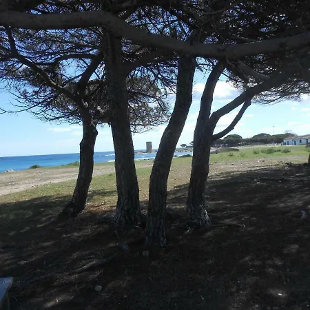 Vecchia Pineta 2 *